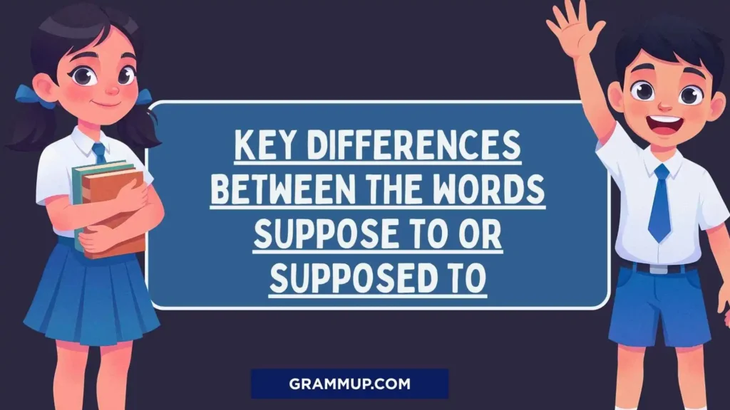 Key Differences Between the Words