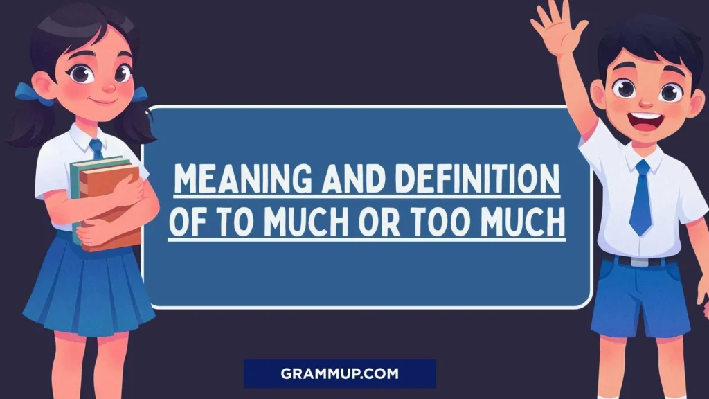 Meaning and Definition of To Much or Too Much