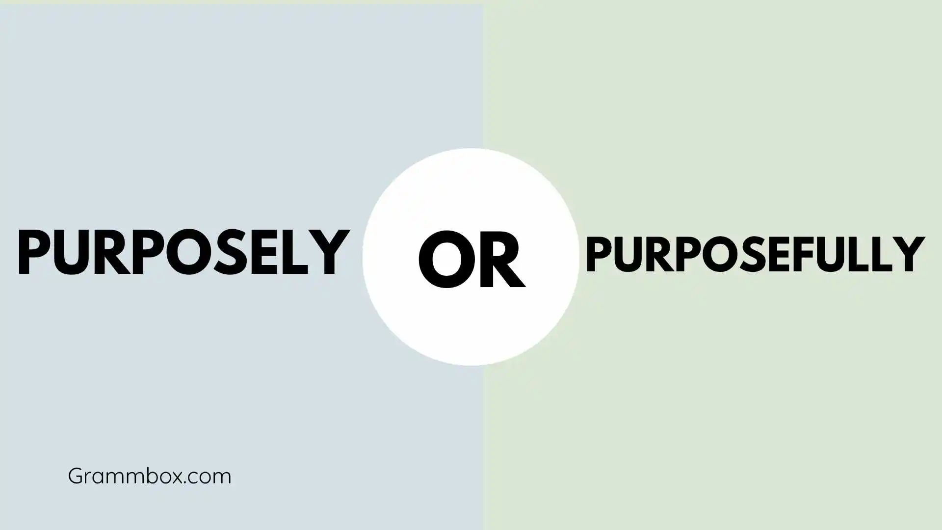 Confused Between Purposely or Purposefully?