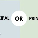 Principal or Principle