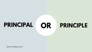 Principal or Principle
