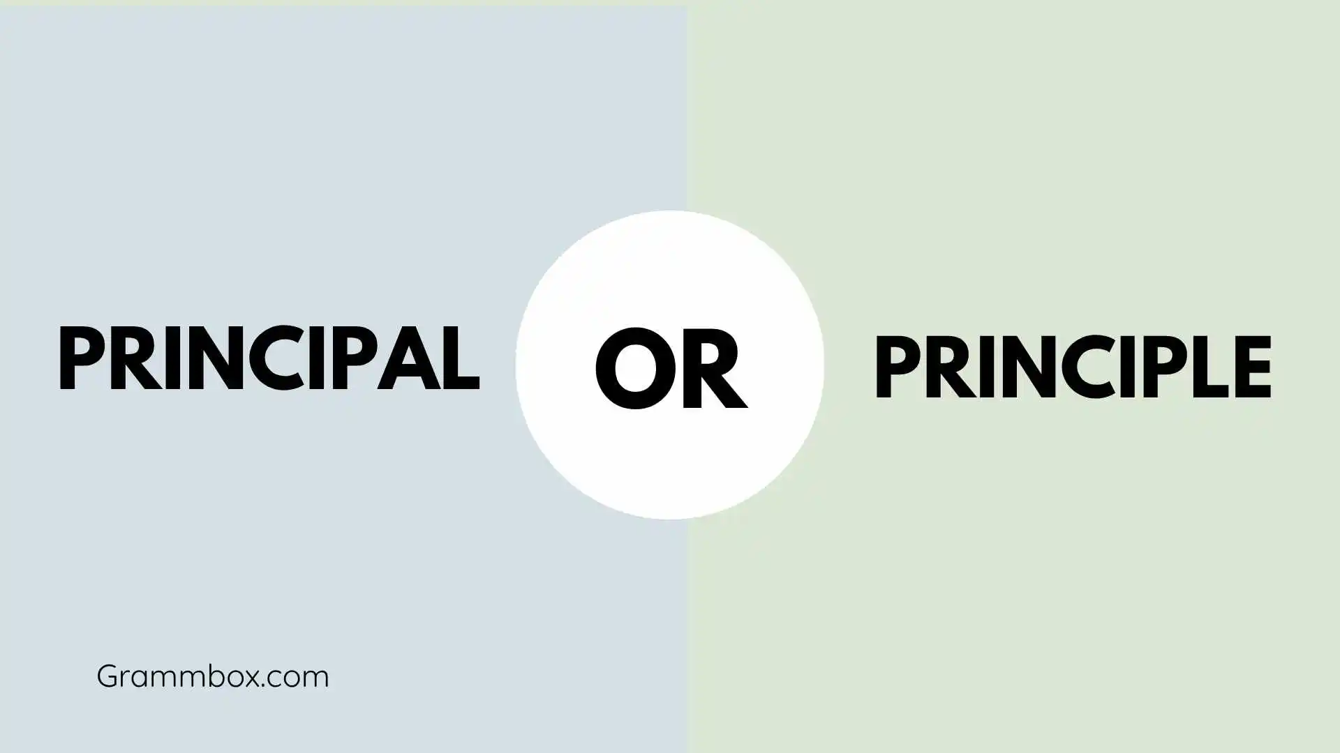 Principal or Principle