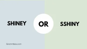 Shiney or Shiny