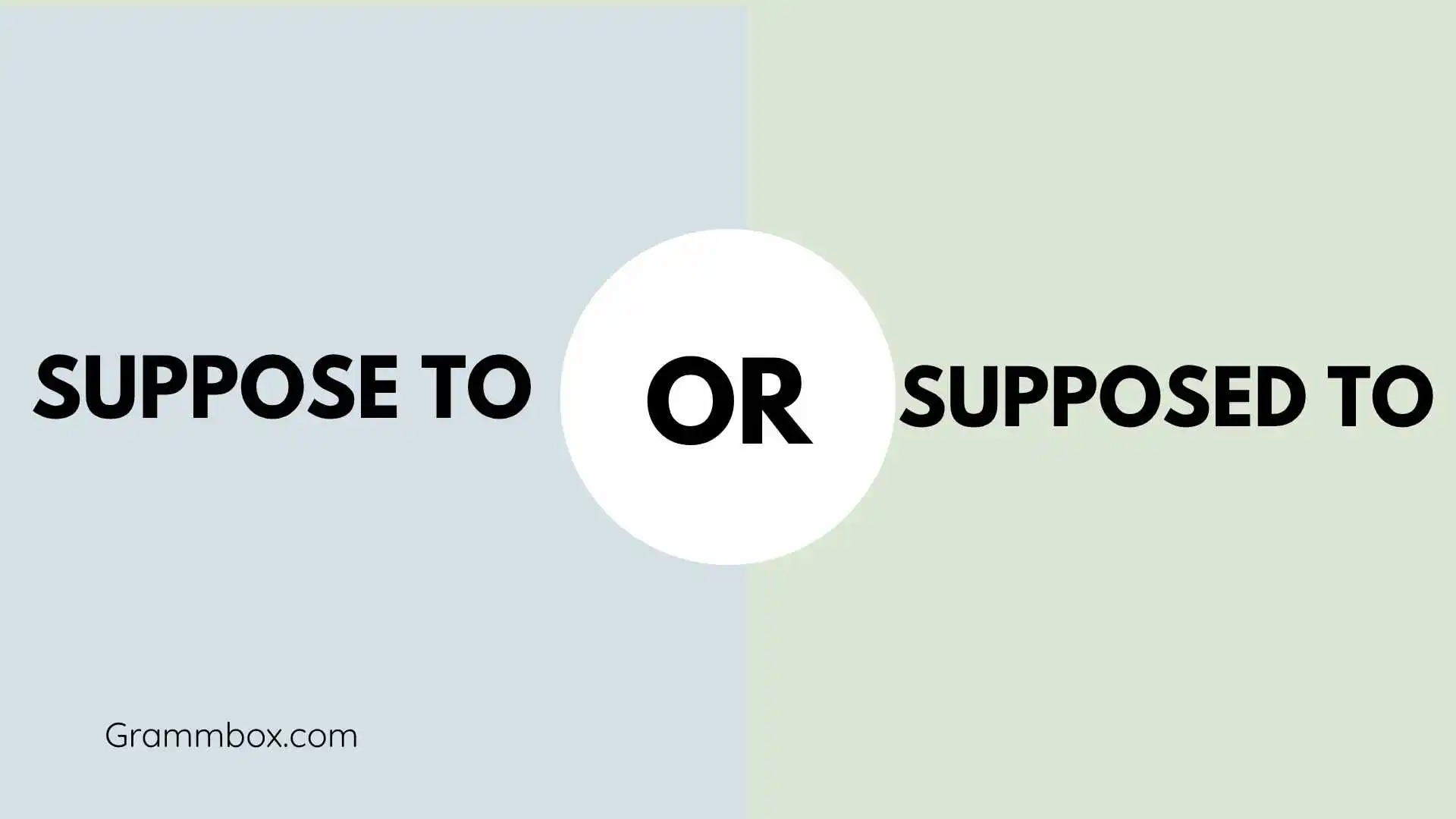 Suppose To or Supposed To
