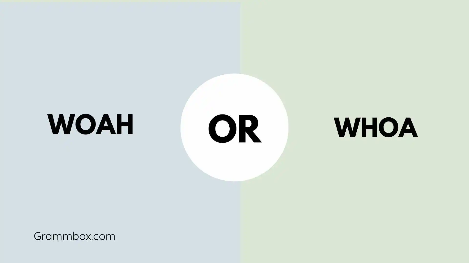 Woah or Whoa