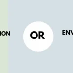 Invision or Envision