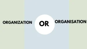 organization or organisation