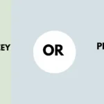 Pricey or Pricy