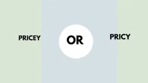 Pricey or Pricy