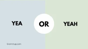 Yea or Yeah