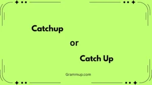 Catchup or Catch Up