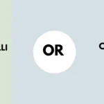 chilli or chili