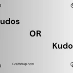 cudos or kudos