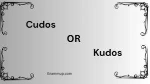 cudos or kudos