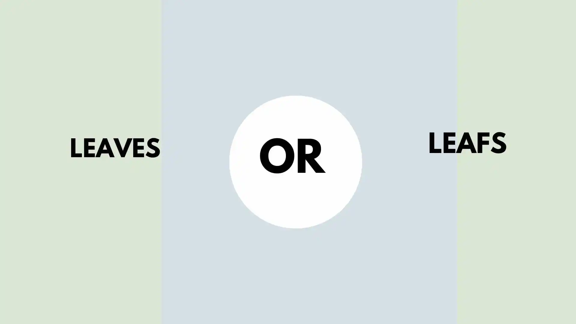 leaves or leafs'