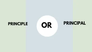principle or principal