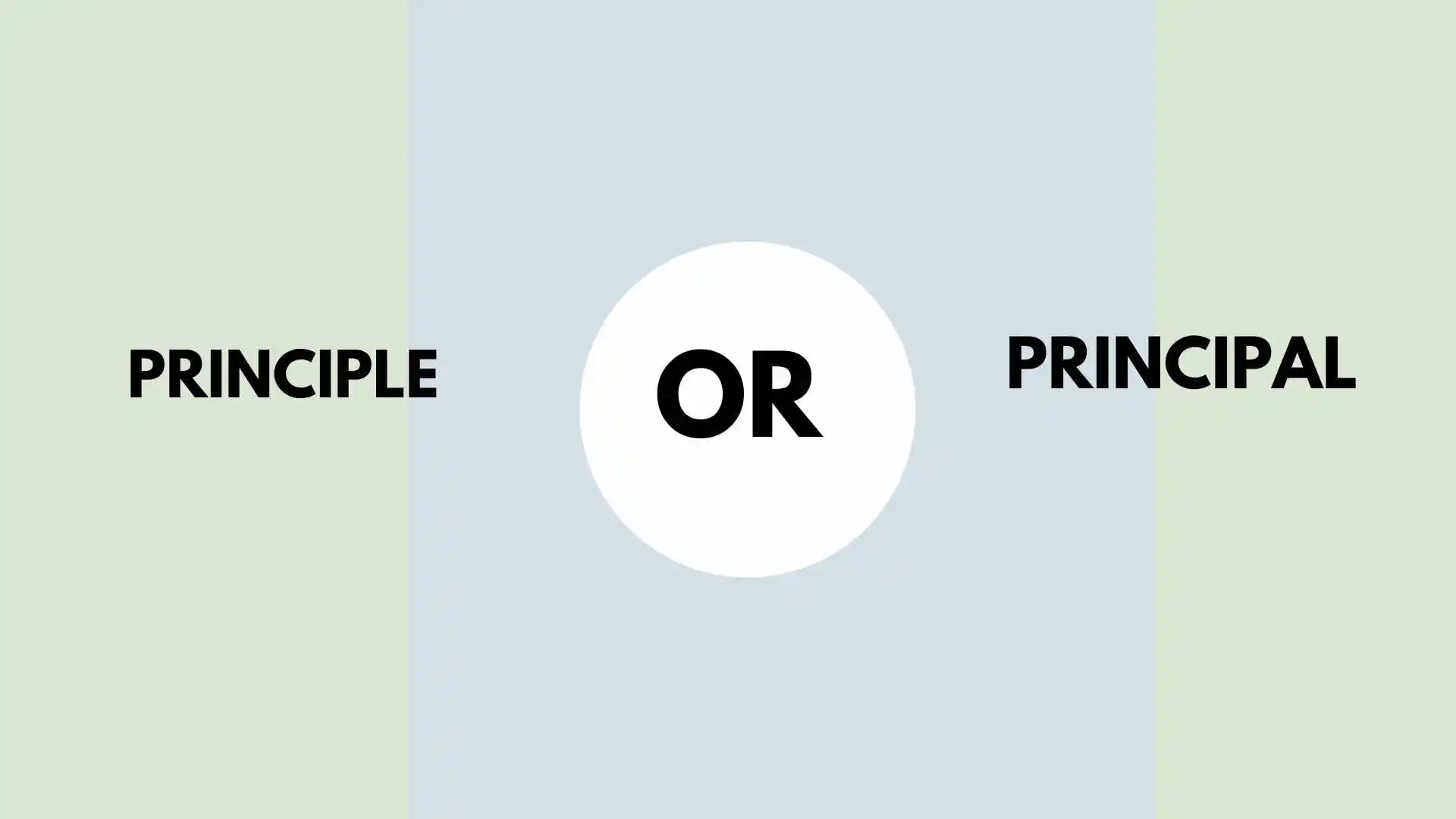 principle or principal
