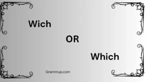 wich or which