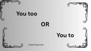 you too or you to