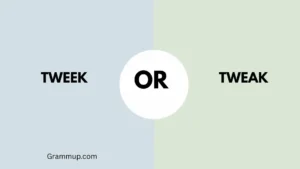 tweek or tweak