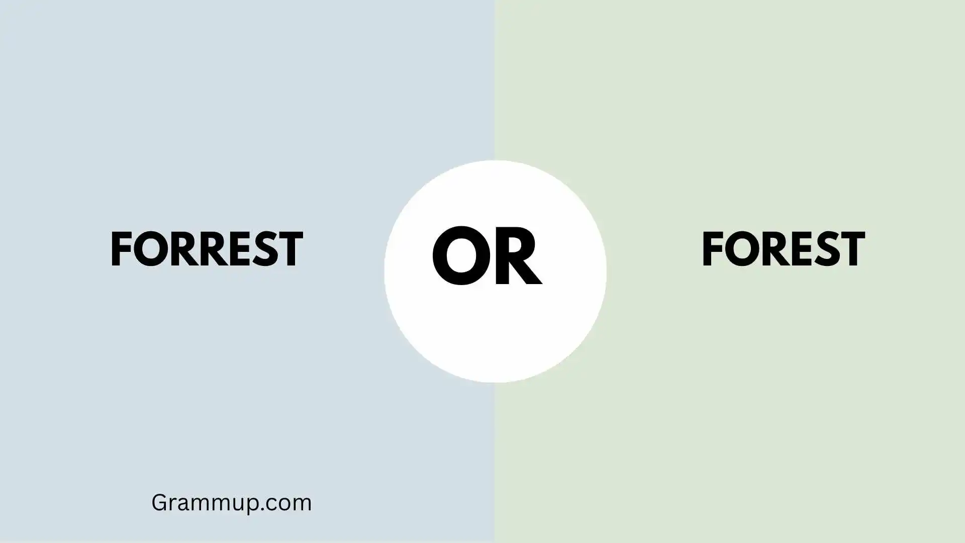 forrest or forest