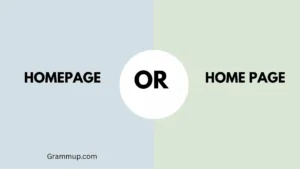 homepage or home page